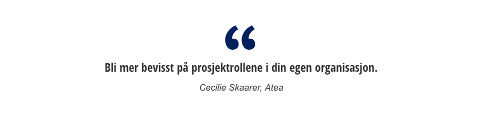 Bli mer bevisst på prosjektrollene i organisasjonen