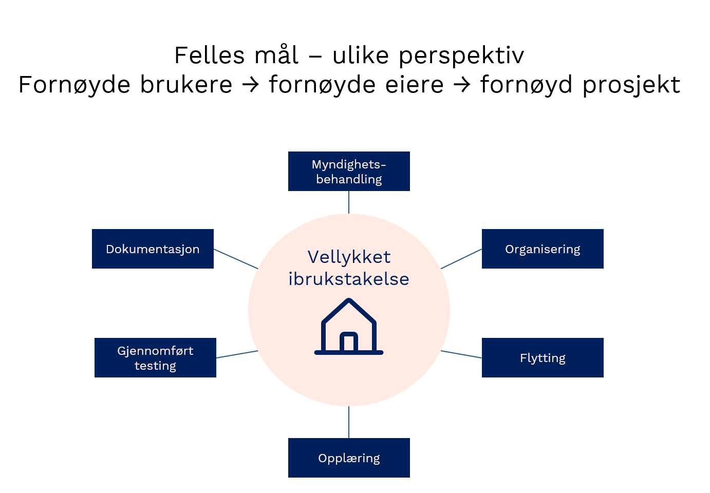 vellykket ibruktakelse fig1