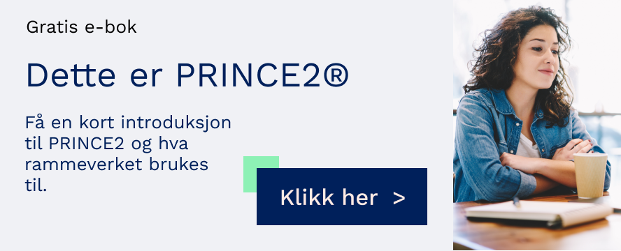 Last ned gratis e-bok: Dette er PRINCE2